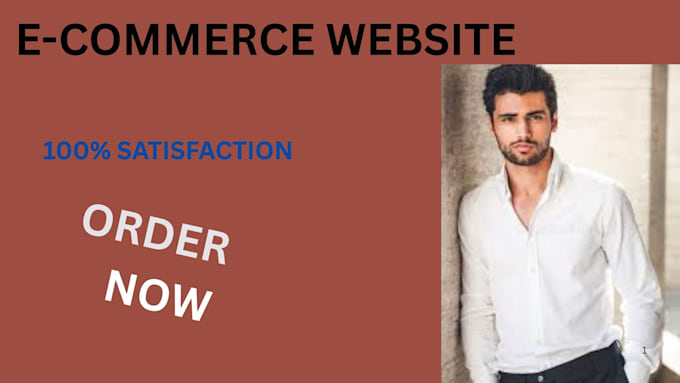 build a professional ecommerce website or shopify store
