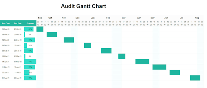 perform internal audit and internal control review