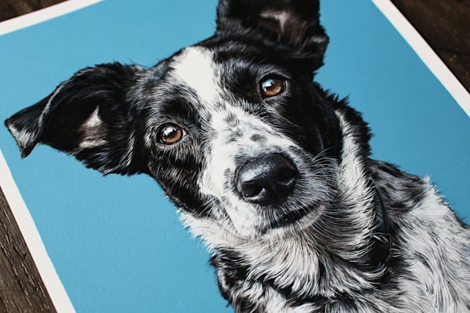 draw pet portrait, vector portrait, animal illustration