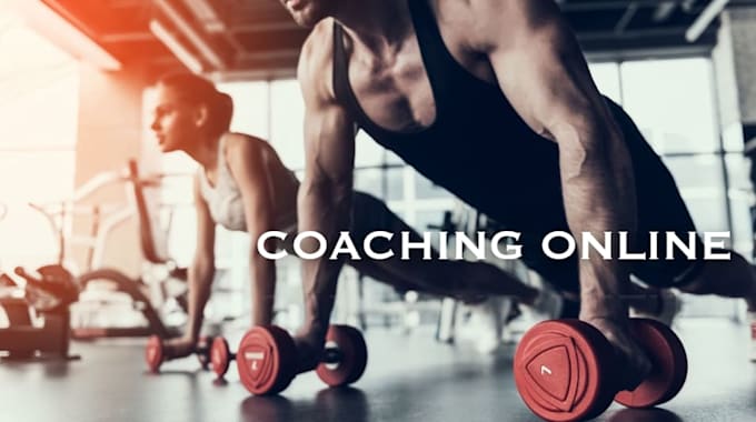 create a custom workout plan for muscle gain or fat loss