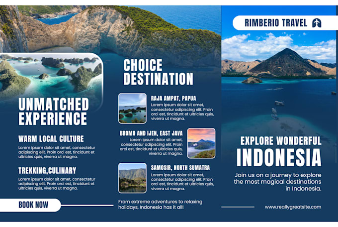 crete and recreate traveling website, business website,copy clone redesign