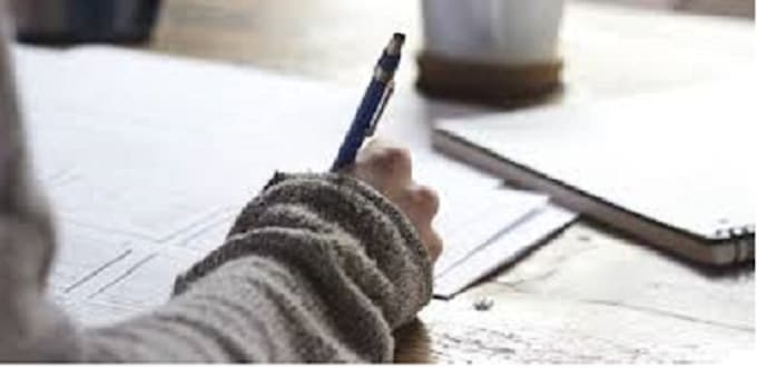 write a perfect 500 word article or blog