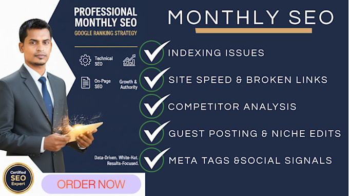 provide professional monthly SEO for google ranking
