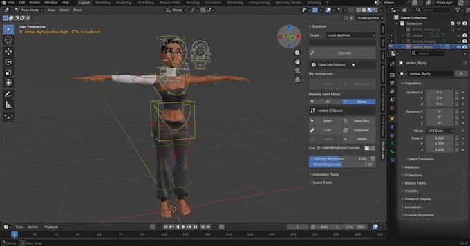 Liger Rig Rig3d for dancing animation, ik fk control,3d face rig,fix weight paint ...