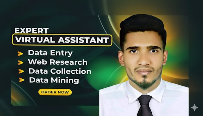 do professional data entry and web research for you
