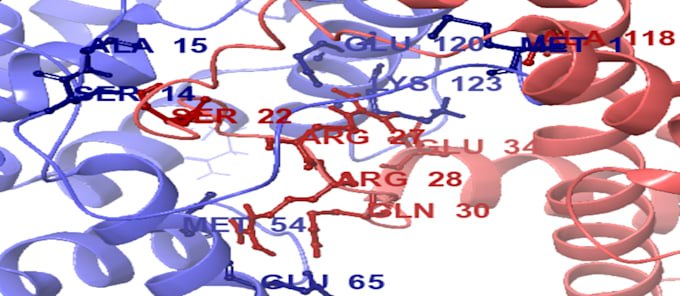 design molecular lab protocols, make biology notes