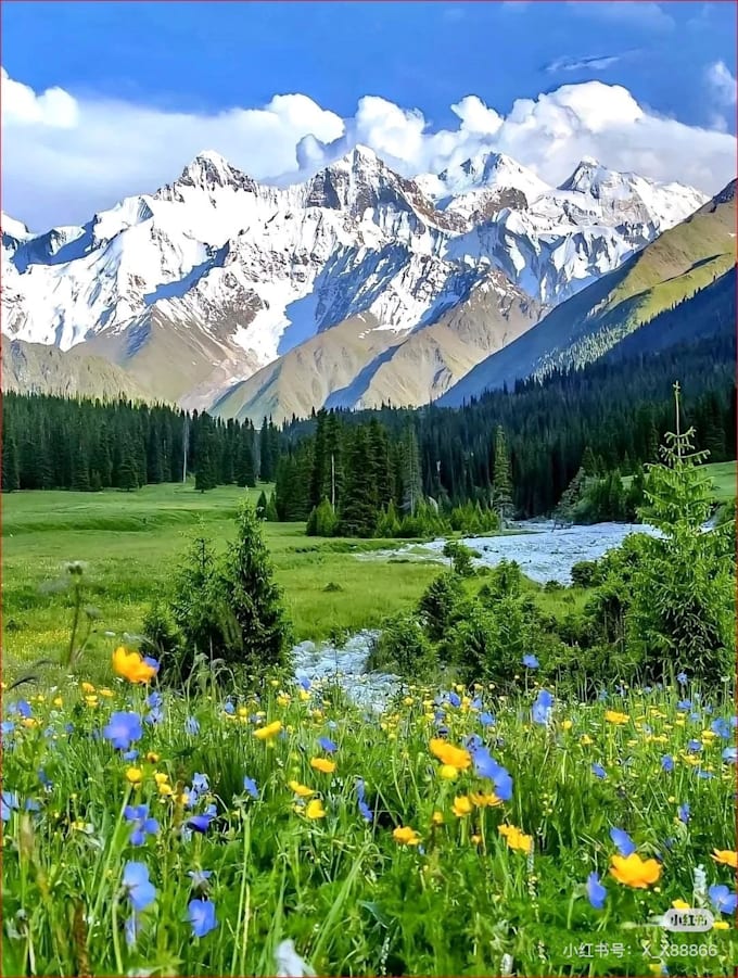 answer 10 questions about traveling in china