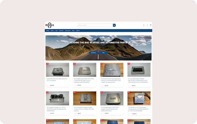 create woocommerce or shopify online store