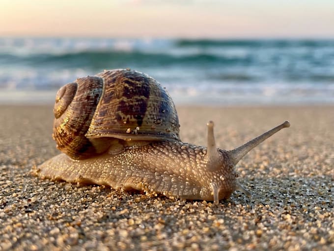 create premium on demand ai stock photography using ai