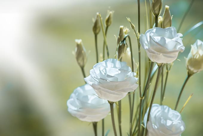 do an elegant picture with a pleasant nature