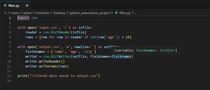 build custom python automation and scraping scripts