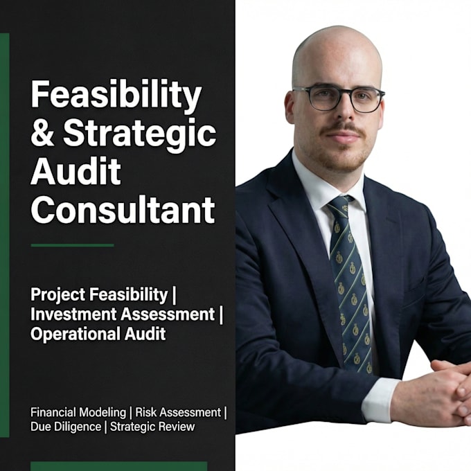 conduct feasibility studies and strategic project audits