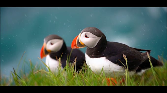 professionally edit you travel video