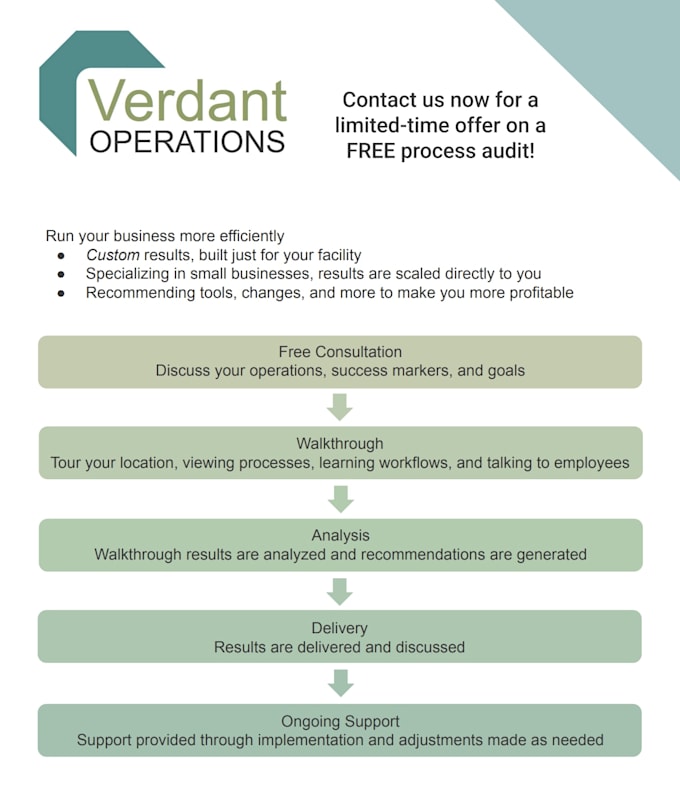 audit your business operations