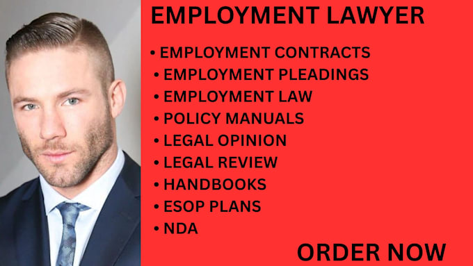 draft legal agreements contracts and court documents