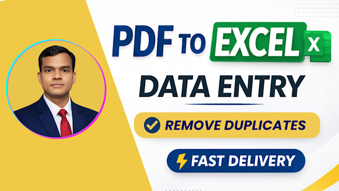 do data entry and PDF to excel conversion