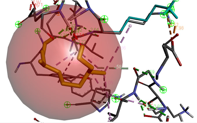 do molecular docking and phylogenetic analysis