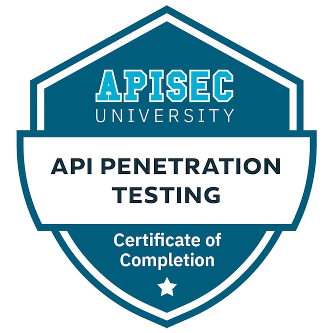 professionally test your web and mobile apis and fix bugs