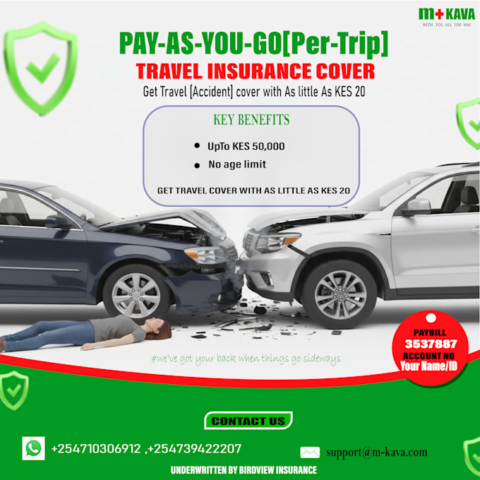 create proffessional flayers and social media posts for your bussiness