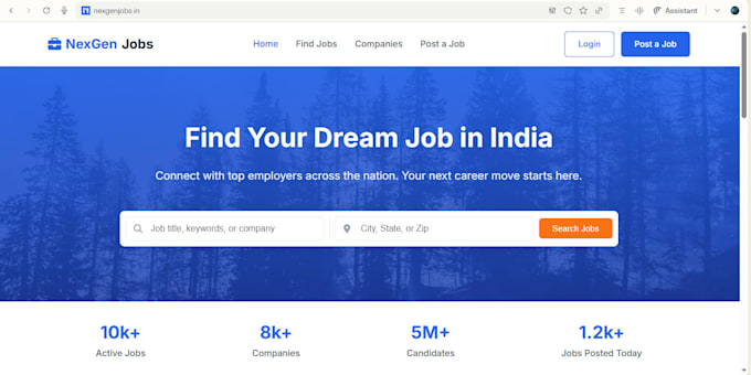 develop or customize a professional website