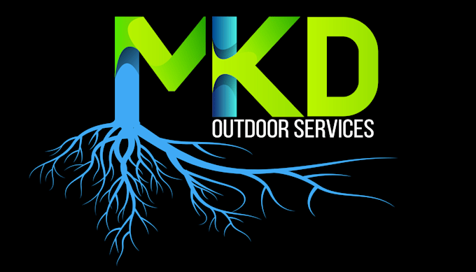 design your logo to the best of my ability
