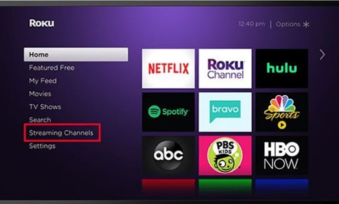 develop your roku and amazon fire TV streaming app for ott platforms