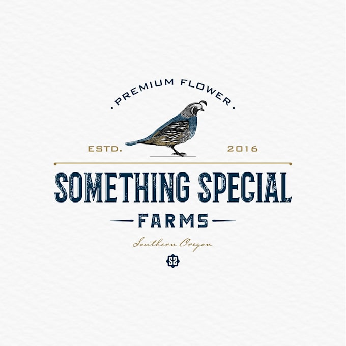 design an awesome creative modern vintage retro logo