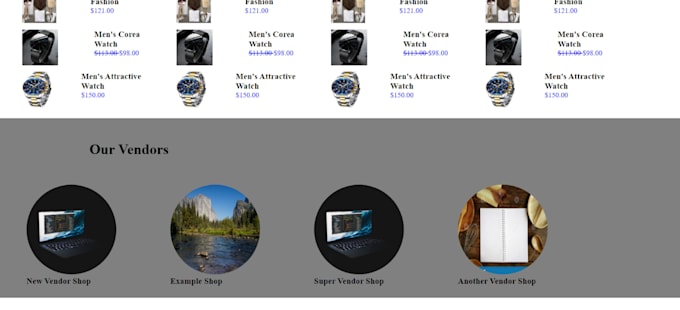 build a professional, responsive and SEO friendly website