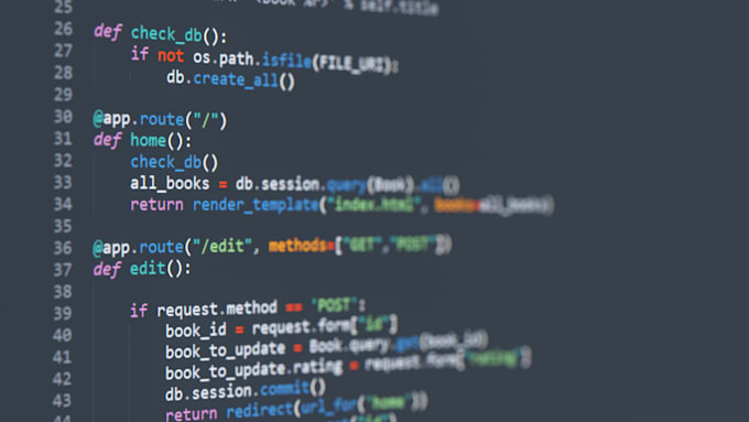 help with website development projects and debugging