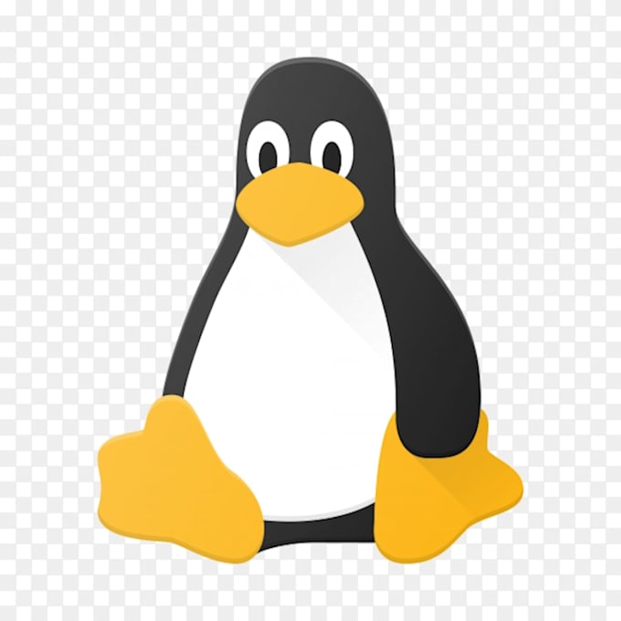 be your linux expert