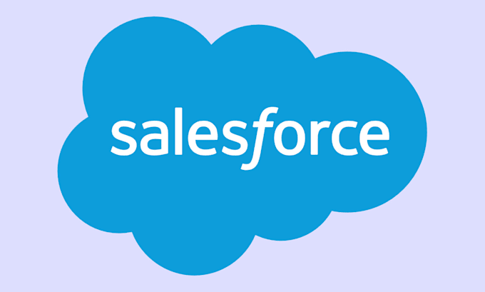 be your certified salesforce developer and consultant