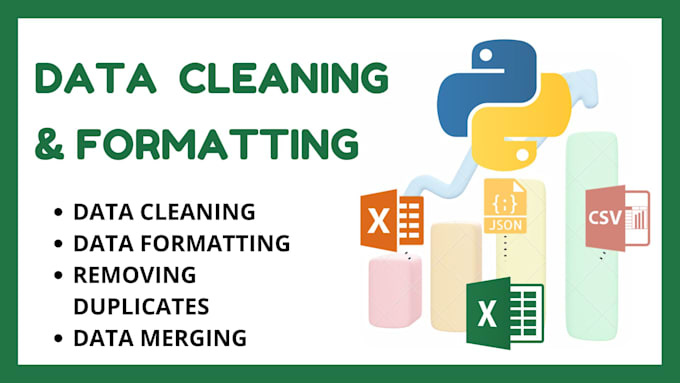 professionally clean and format your data