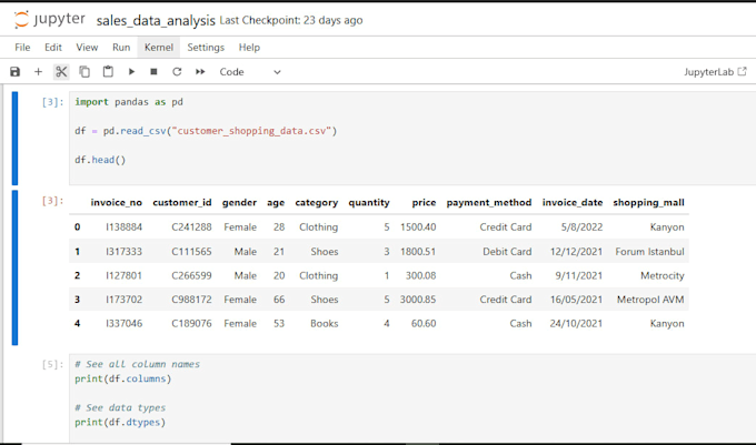 perform professional data analysis in python