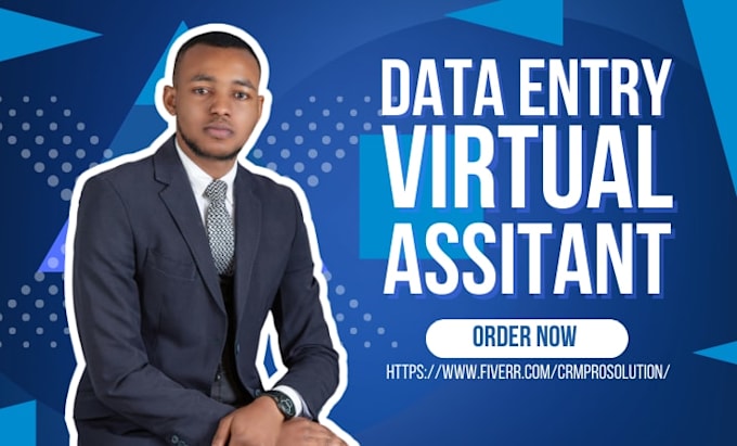 do data entry virtual assistant web research data mining shopify crm excel