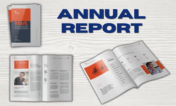 do professional annual report design, annual report layout