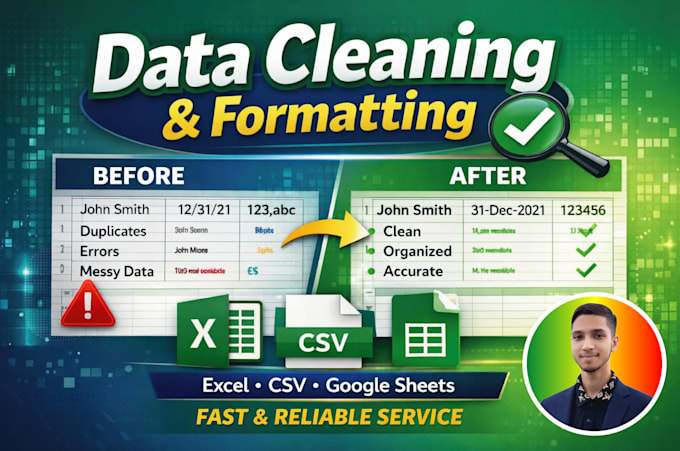 do professional data cleaning data processing excel and database files