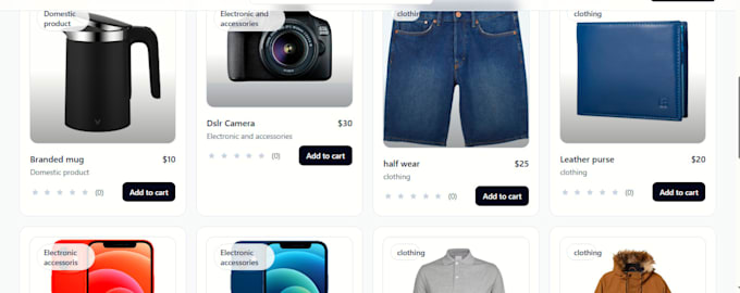 build a custom eccomerce store seo optimized and professional