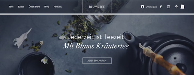 build a modern, professionell website for your bussiness