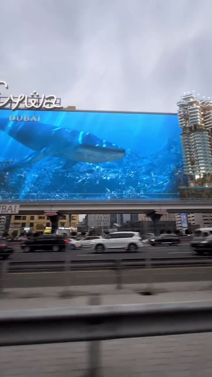 create anamorphic 3d billboard animation cgi led wall advertising video