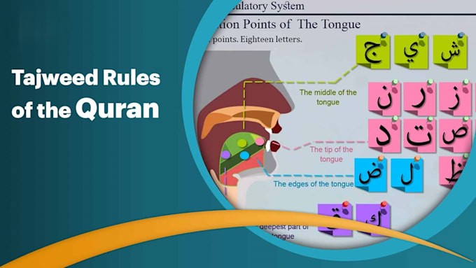 teach all tajweed rules