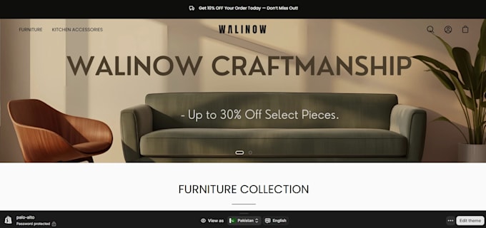 design a professional shopify store