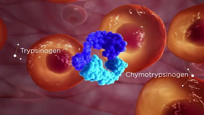 create 3d medical video oncology moa animation 3d pharmaceutical explainer video