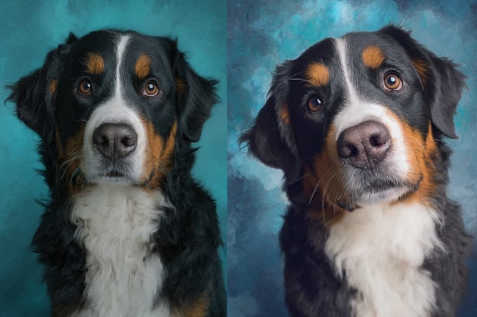 create a custom disney inspired pet portrait