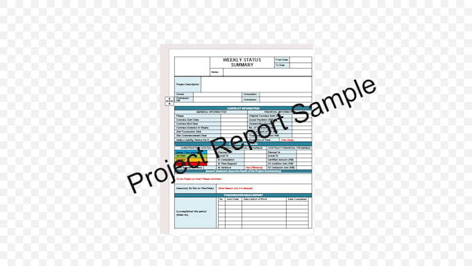 create complete project documentation package with reports, schedule, risk log