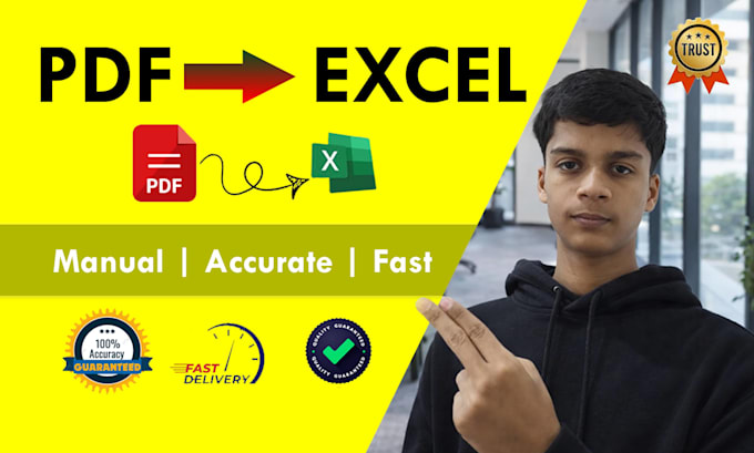convert PDF to excel manually with 100 percent accuracy