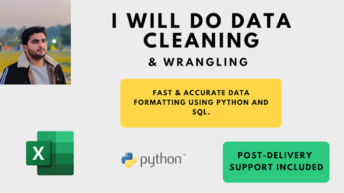 do data cleaning, formatting and merging in python and excel