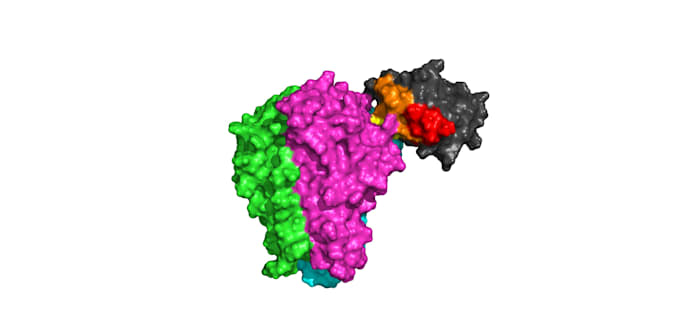 perform molecular dynamics simulation and protein analysis