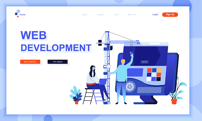 develop a full stack web application
