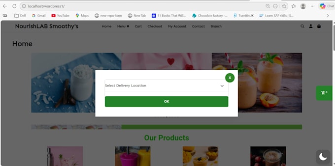 develop professional ecommerce website or business website