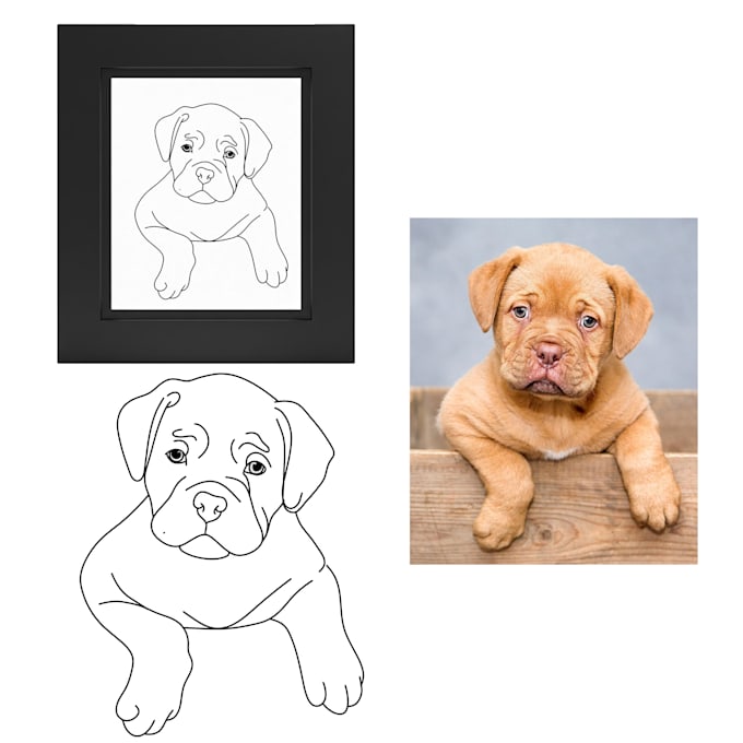 your pet turn into line art